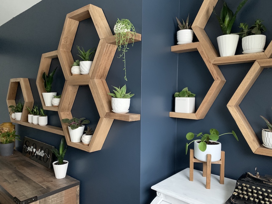 feature wall with honeycomb shelves and plants in a bedroom sanctuary