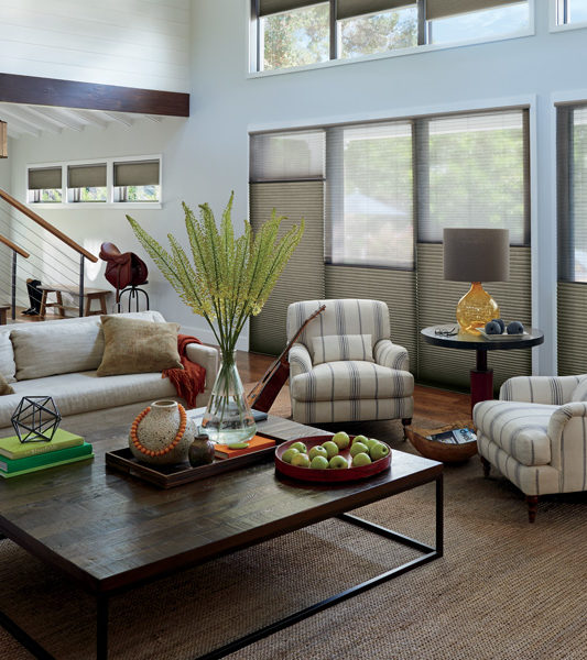 living room Hunter Douglas duette honeycomb shades Leander 78641