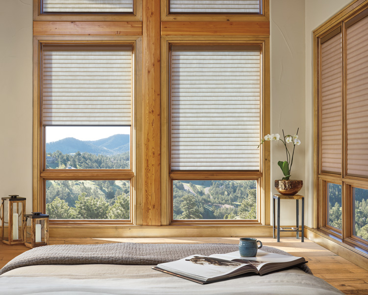 energy efficient window treatments Hunter Douglas sonnette cellular roller shades Austin TX