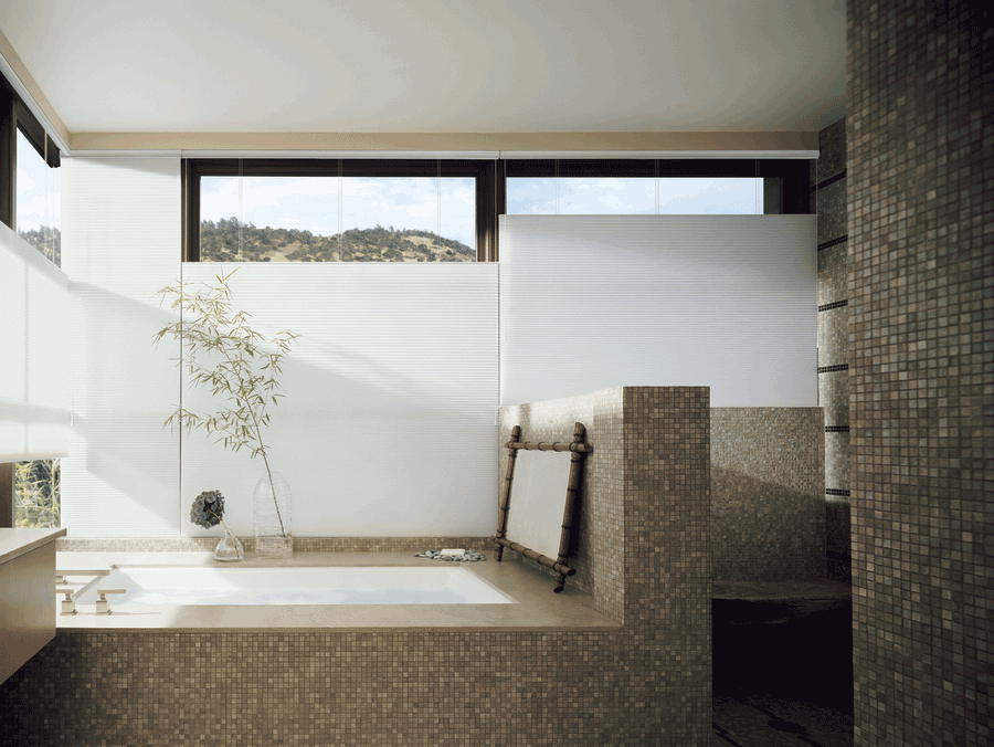 White top down bottom up shades bathroom design ideas Austin 78758