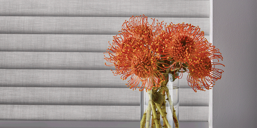 living coral design ideas Hunter Douglas Austin 78758