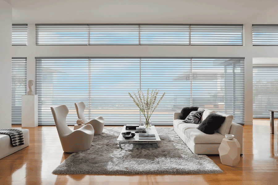 window problems minimalism Hunter Douglas Austin 78731