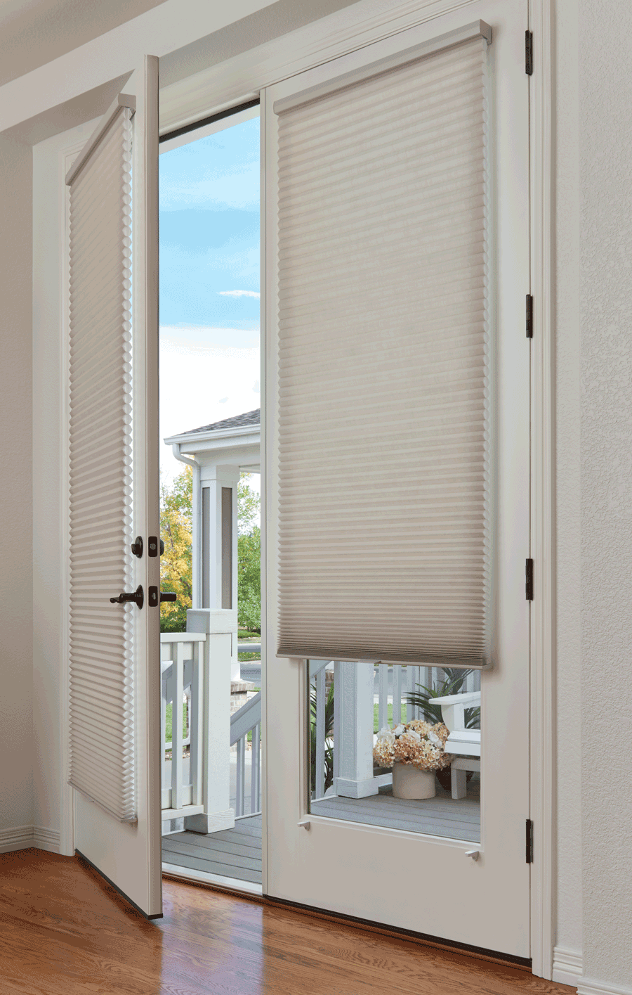 glass door blinds inside window