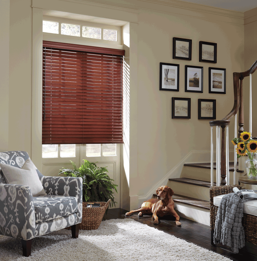 horizontal everwood pet safe blinds for dog owners Hunter Douglas Austin 78758