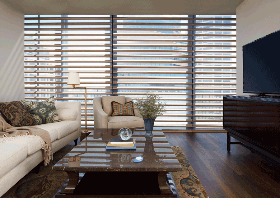 living room pirouette shades for floor to ceiling windows Hunter Douglas Austin 78758