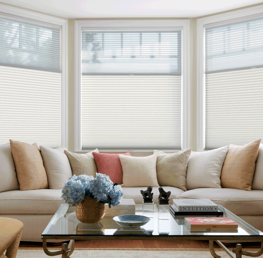 living room duette honeycomb top down shades Hunter Douglas Austin 78731