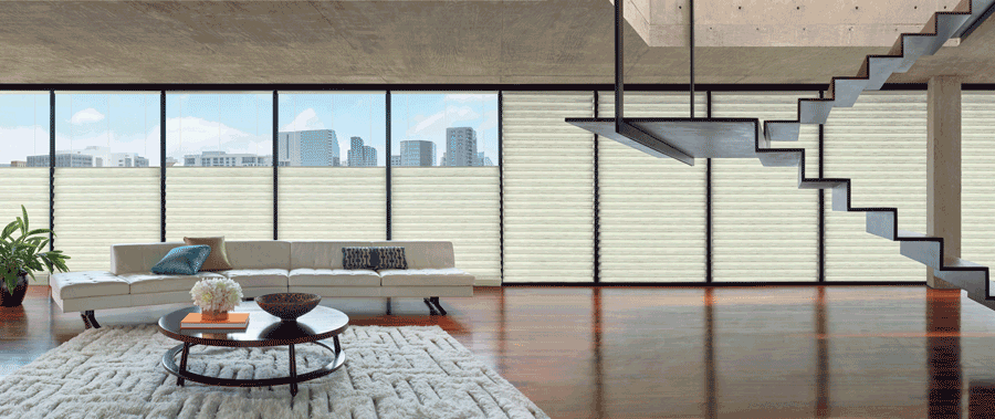 vignette roman shades on floor to ceiling windows highrise building Austin TX