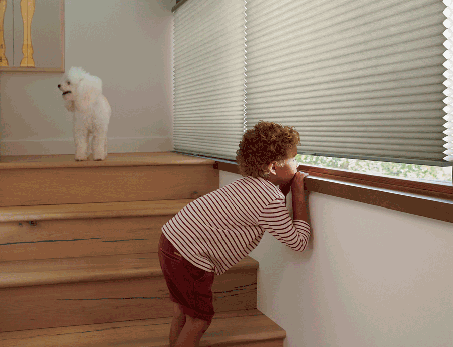 Hunter Douglas child safe blinds Austin TX