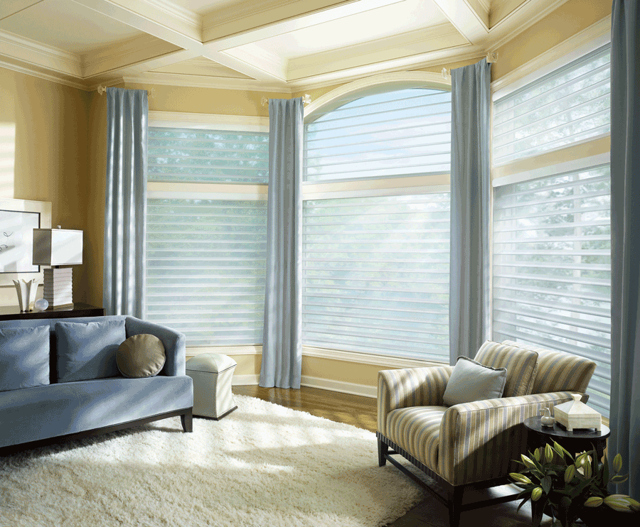 living room light filtering window shades on arched windows Austin TX