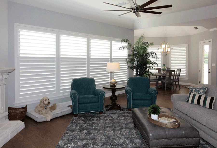 Shutters are the perfect addition when it comes time to decorate your Austin home.