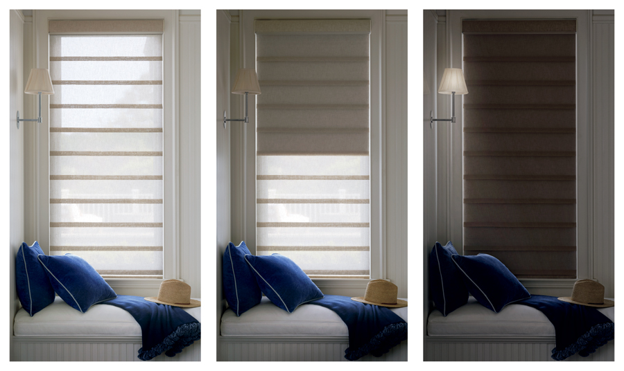 dual shades two in one window shade for Austin TX homes