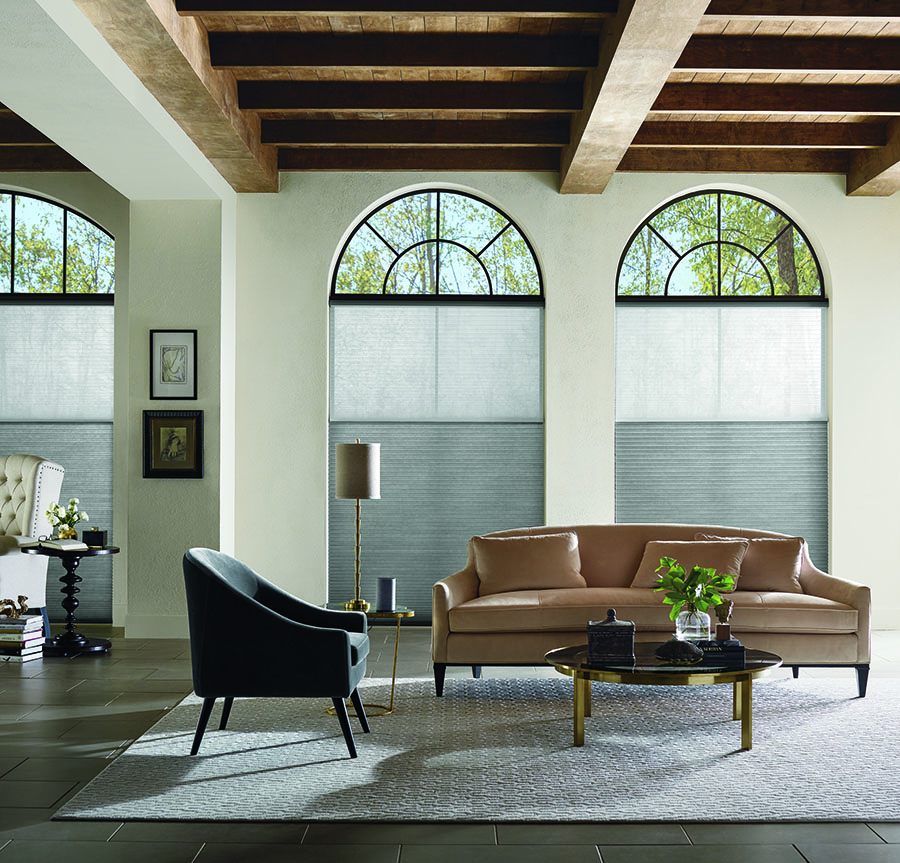 Austin, TX, Applause Honeycomb Shades on arched windows.