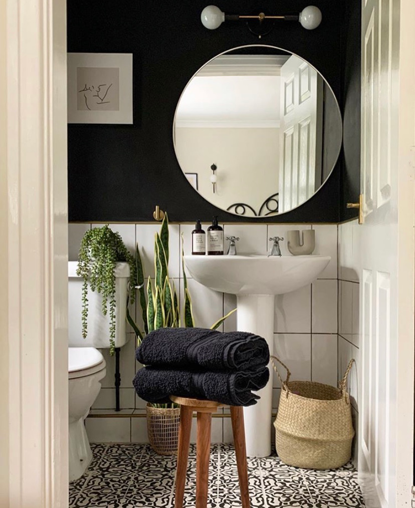 plants in bathroom with black walls and white wainscoting