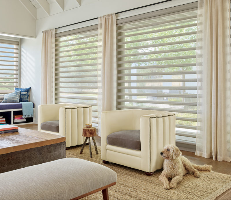 Motorized Blinds Austin | Remote Control Blinds | Smart Home
