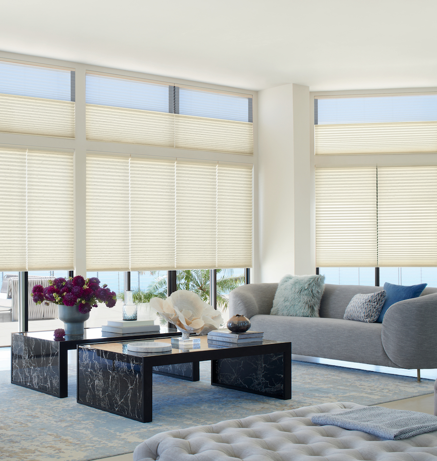 Automated shades living room austin TX