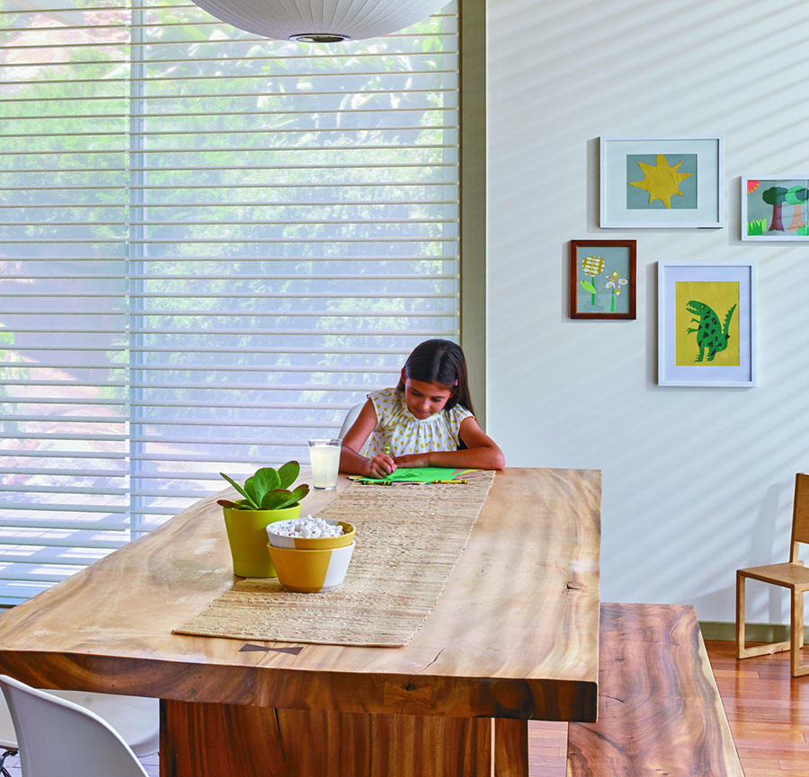 sliding glass door shades in Austin, TX