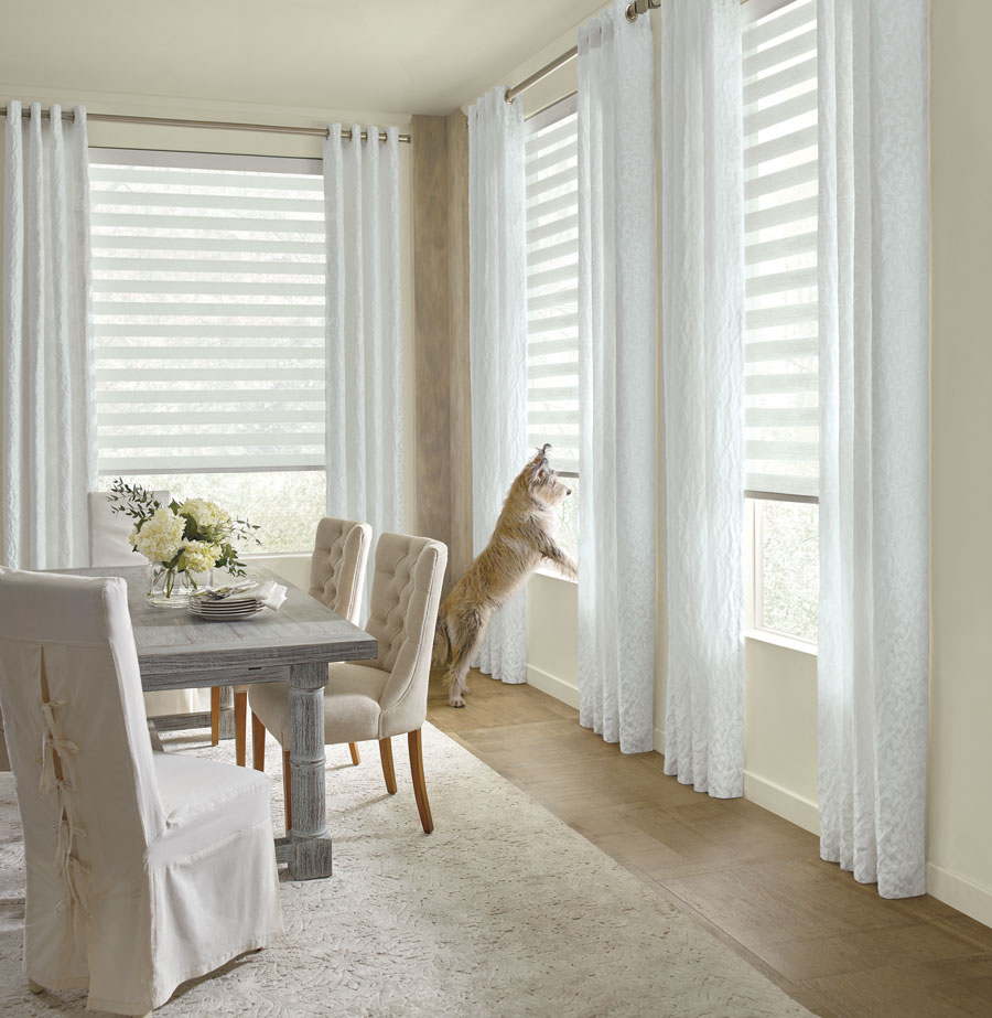 dog on windowsill with window shades raised up in Austin TX dining room