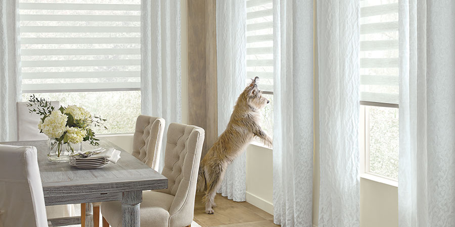 Wholesale dog designs curtain to Achieve Good Window Treatments 