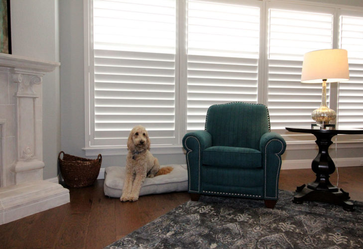 The Best Pet Friendly Window Coverings? Austin Window Fashions