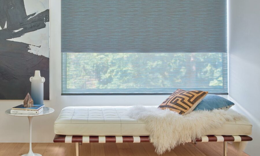 designer roller dual shades for Auston TX homes