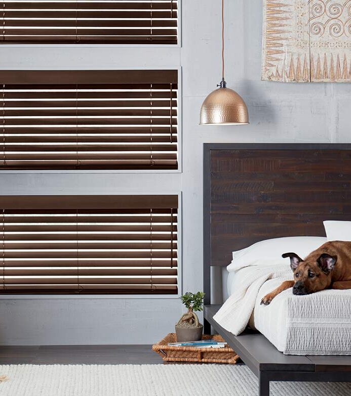 brown wood blinds in gray bedroom with dog sleeping on the bed Austin TX
