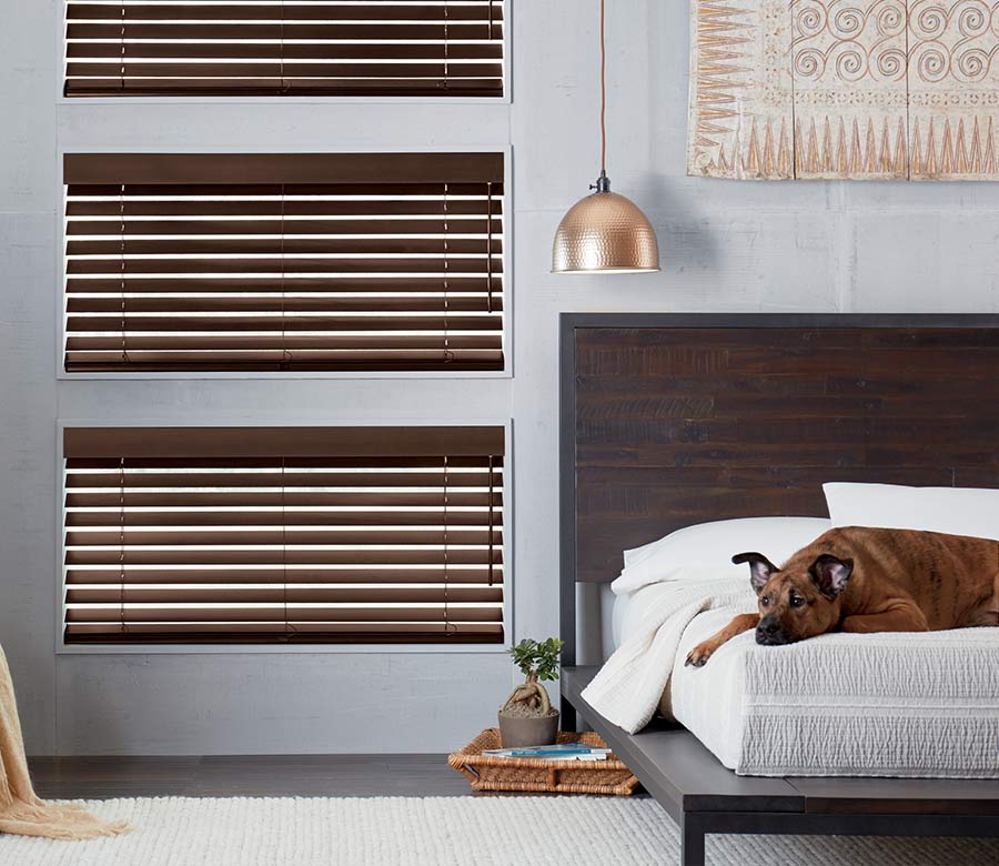 brown wood blinds in gray bedroom with dog sleeping on the bed