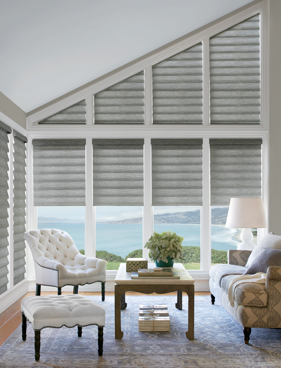 gray roman shades on uniquely-shaped window in living room 