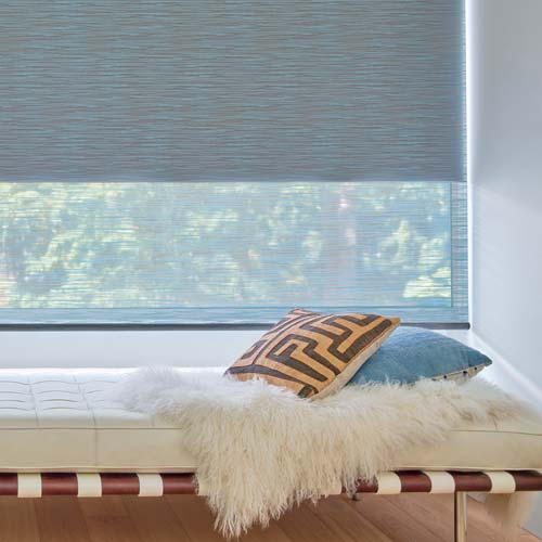 dual roller shades in guest bedroom