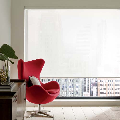 roller and screen shades for large windows