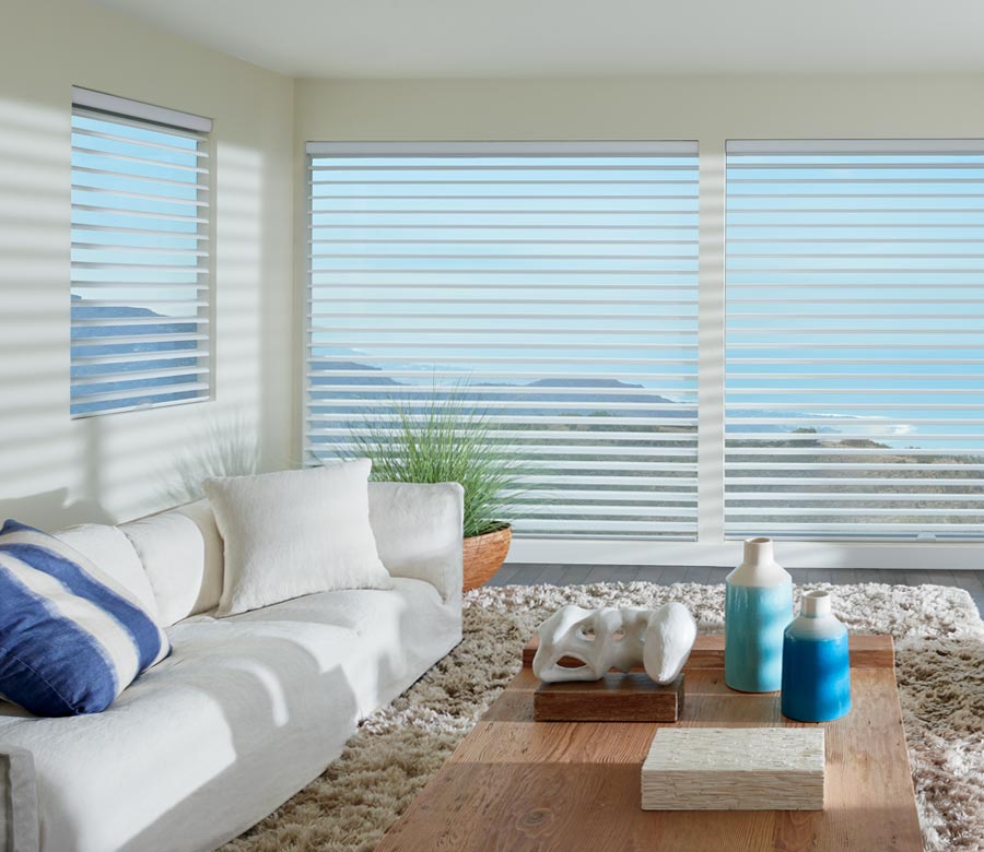 Best deals window shades