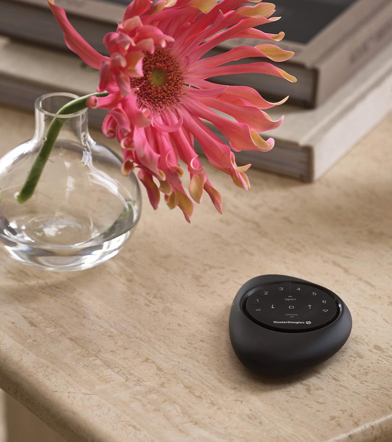 black powerview pebble remote next to vase with tropical pink flower
