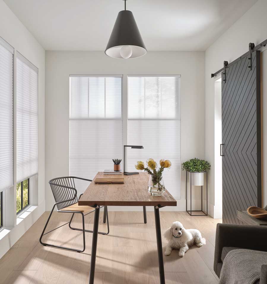 cellular shades motorized in home office with dog on ground