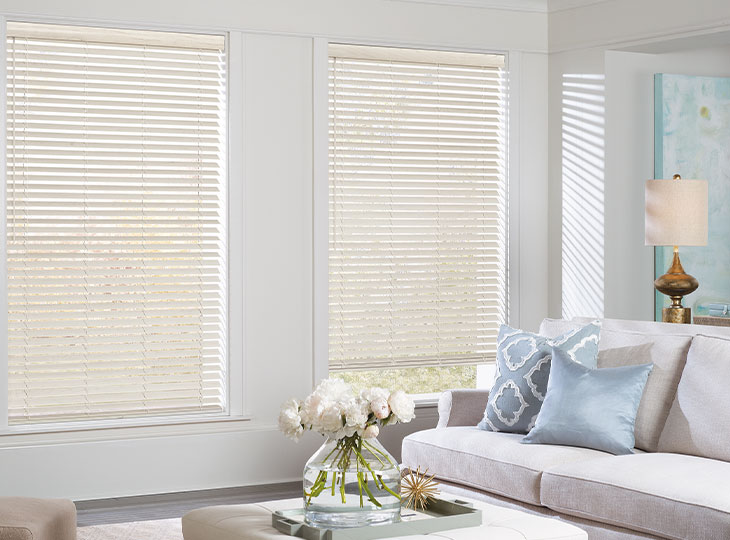 hunter douglas window blinds in georgetown tx