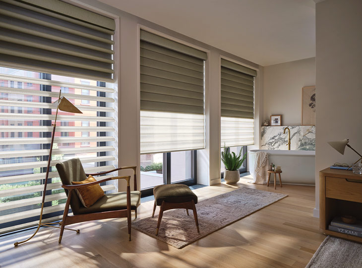 large window dual shades hunter douglas window shades georgetown, tx