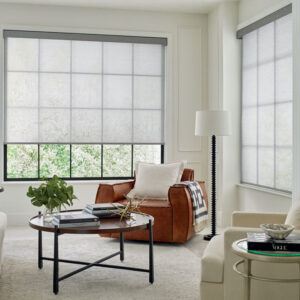 gray solar shades in Barton Creek TX