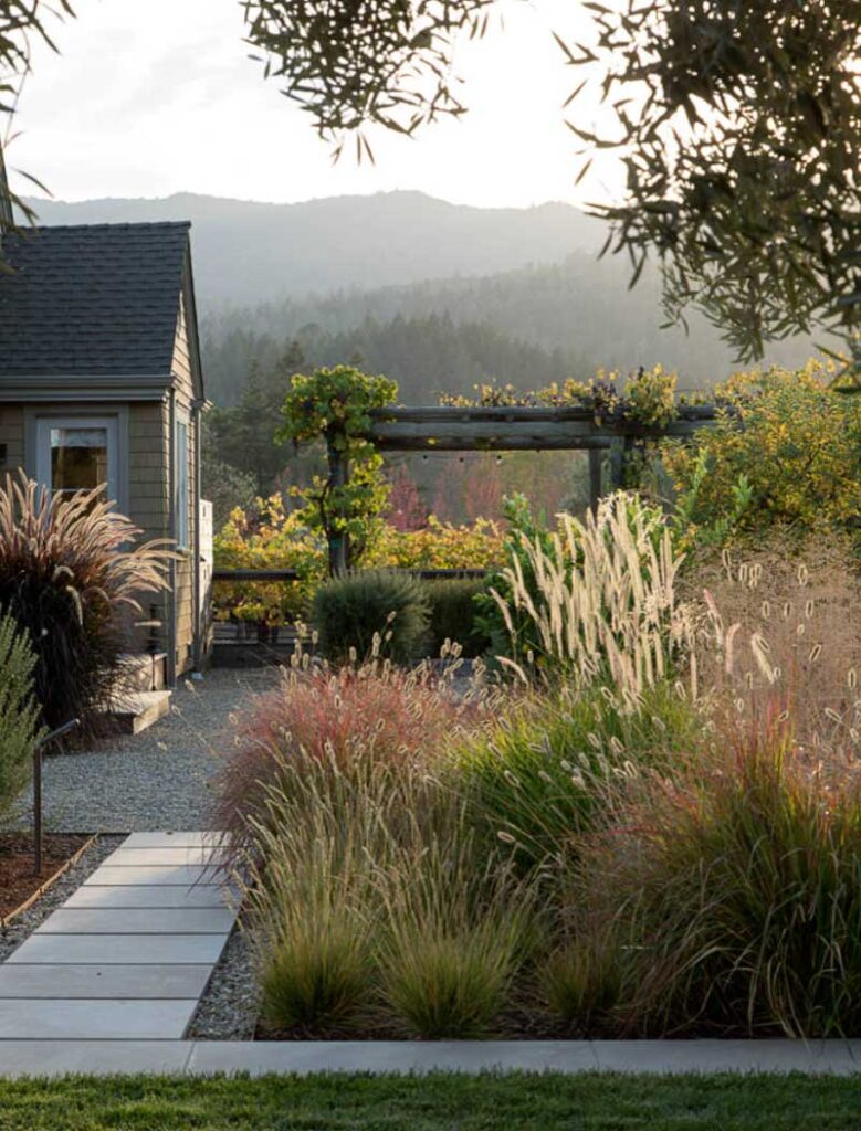 natural landscaping for austin tx home