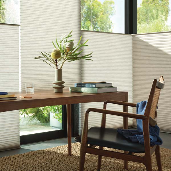 duette-hunter-douglas-austin-window-fashions