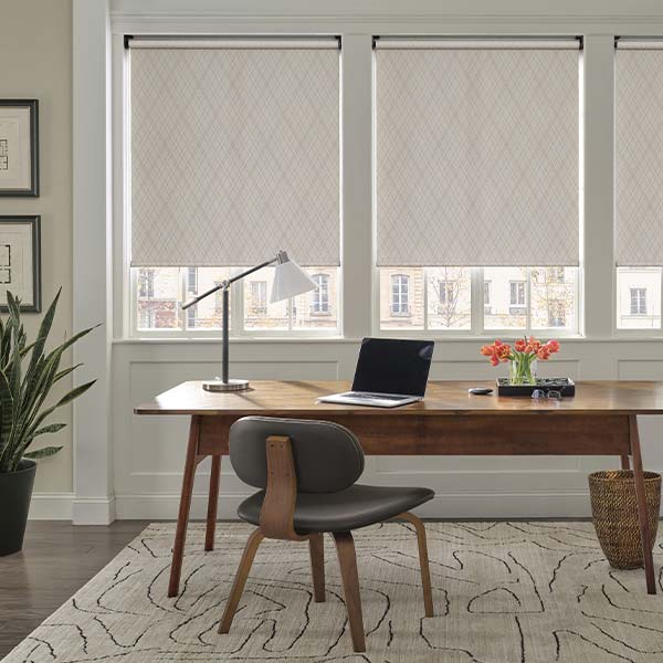 roller-shades-hunter-douglas-austin-window-fashions