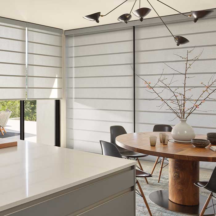 Alustra-Architectural-Roller-Shades-hunter-douglas-austin-window-fashions