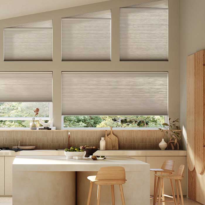 Applause-Honeycomb-Shades-hunter-douglas-austin-window-fashions