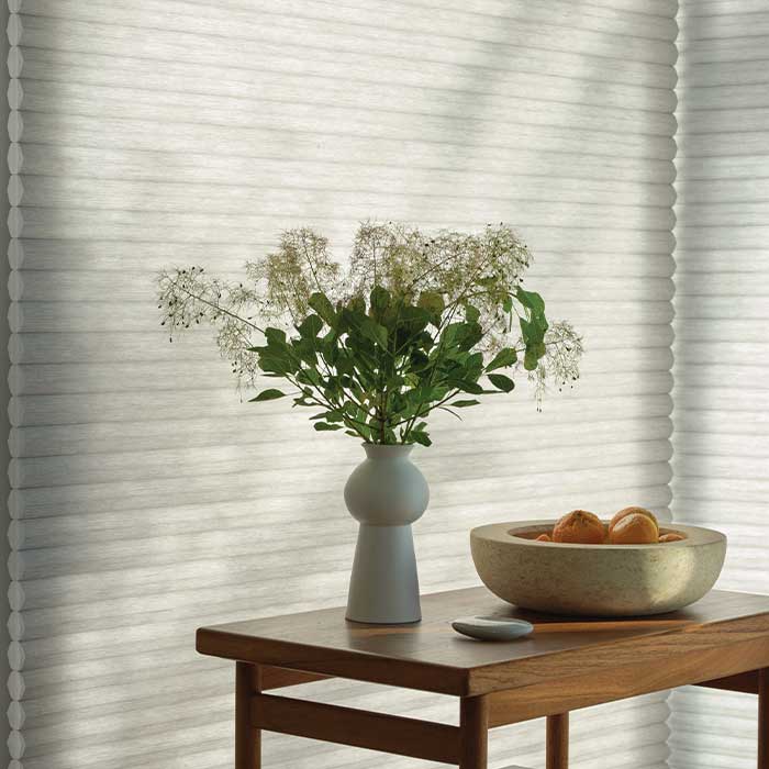 Duette-Honeycomb-Shades-hunter-douglas-austin-window-fashions