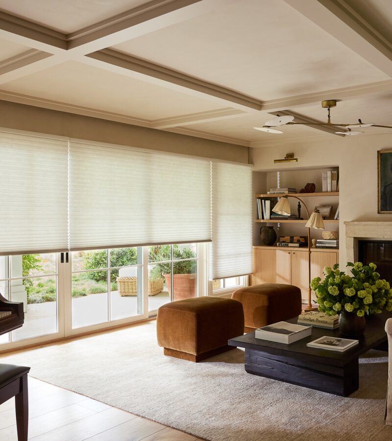 honeycomb shades hunter douglas in living room with neutral tones for doors with glass