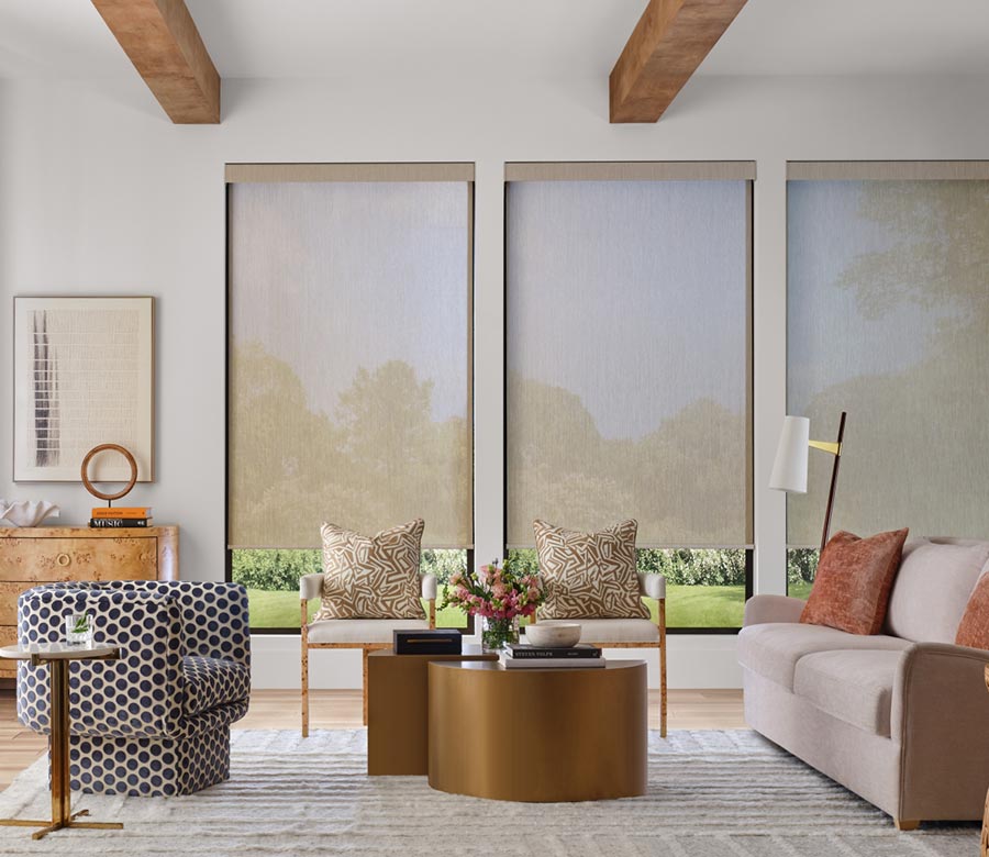 light-filtering-designer-screen-shades-with-gliding-window-panels-by-hunter-douglas-living-room-austin-window-fashions dining room with screen shades helping with light filtering